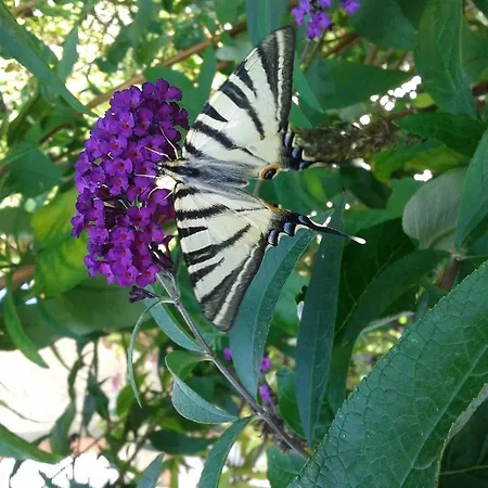 Bed & Breakfast Chateau De Lahitte