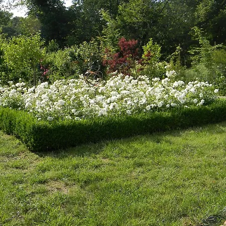 Bed & Breakfast Chateau De Lahitte Vergoignan