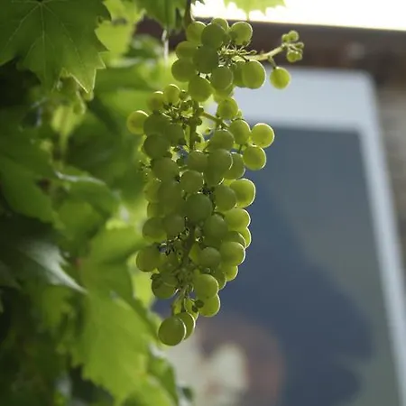 Bed & Breakfast Chateau De Lahitte Vergoignan