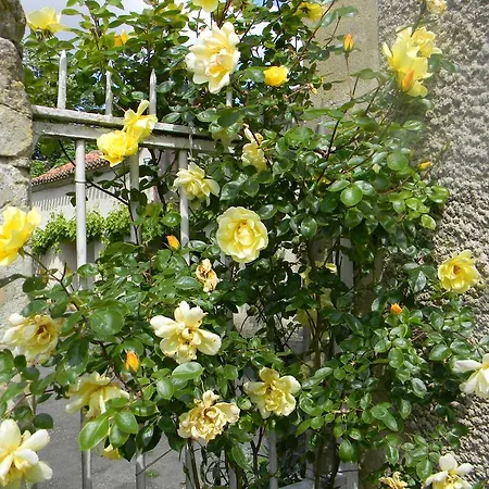 Bed & Breakfast Chateau De Lahitte Vergoignan