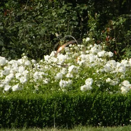 Bed & Breakfast Chateau De Lahitte *