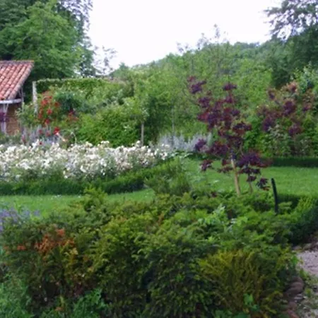 Chateau De Lahitte Bed & Breakfast Vergoignan