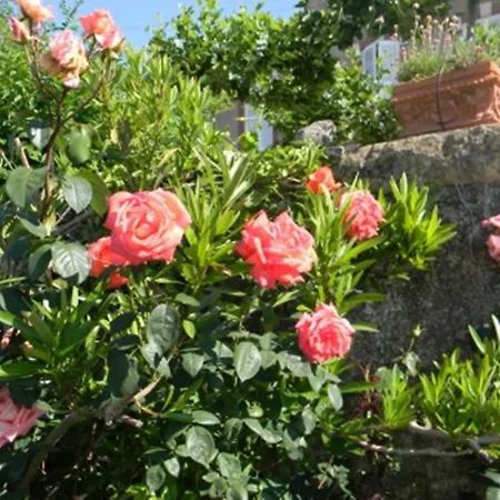 Bed & Breakfast Chateau De Lahitte *