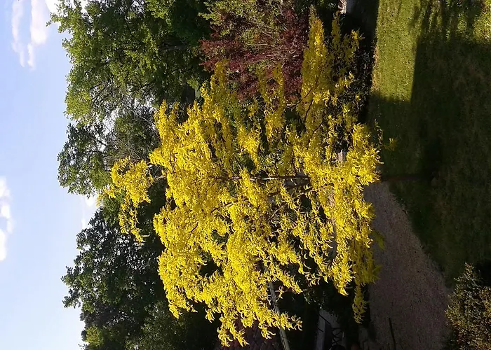 Chateau De Lahitte * Vergoignan