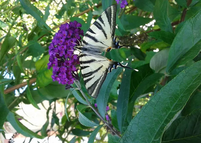 Bed & Breakfast Chateau De Lahitte