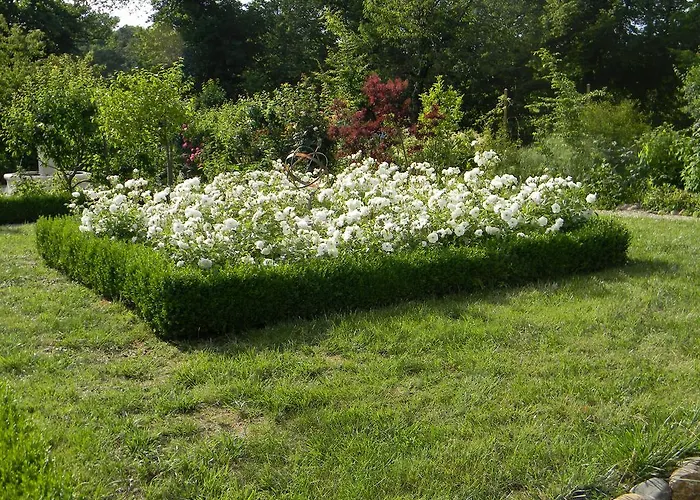 Nocleg ze śniadaniem Chateau De Lahitte Vergoignan