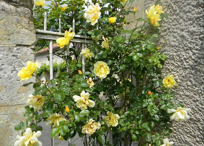 Bed & Breakfast Chateau De Lahitte Vergoignan