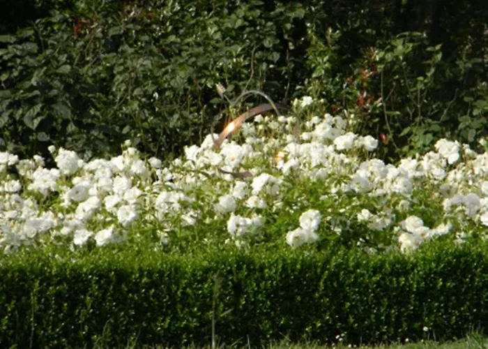 Bed & Breakfast Chateau De Lahitte *