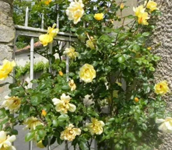 Chateau De Lahitte *