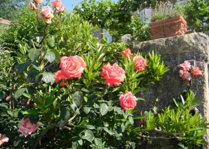 Bed & Breakfast Chateau De Lahitte *